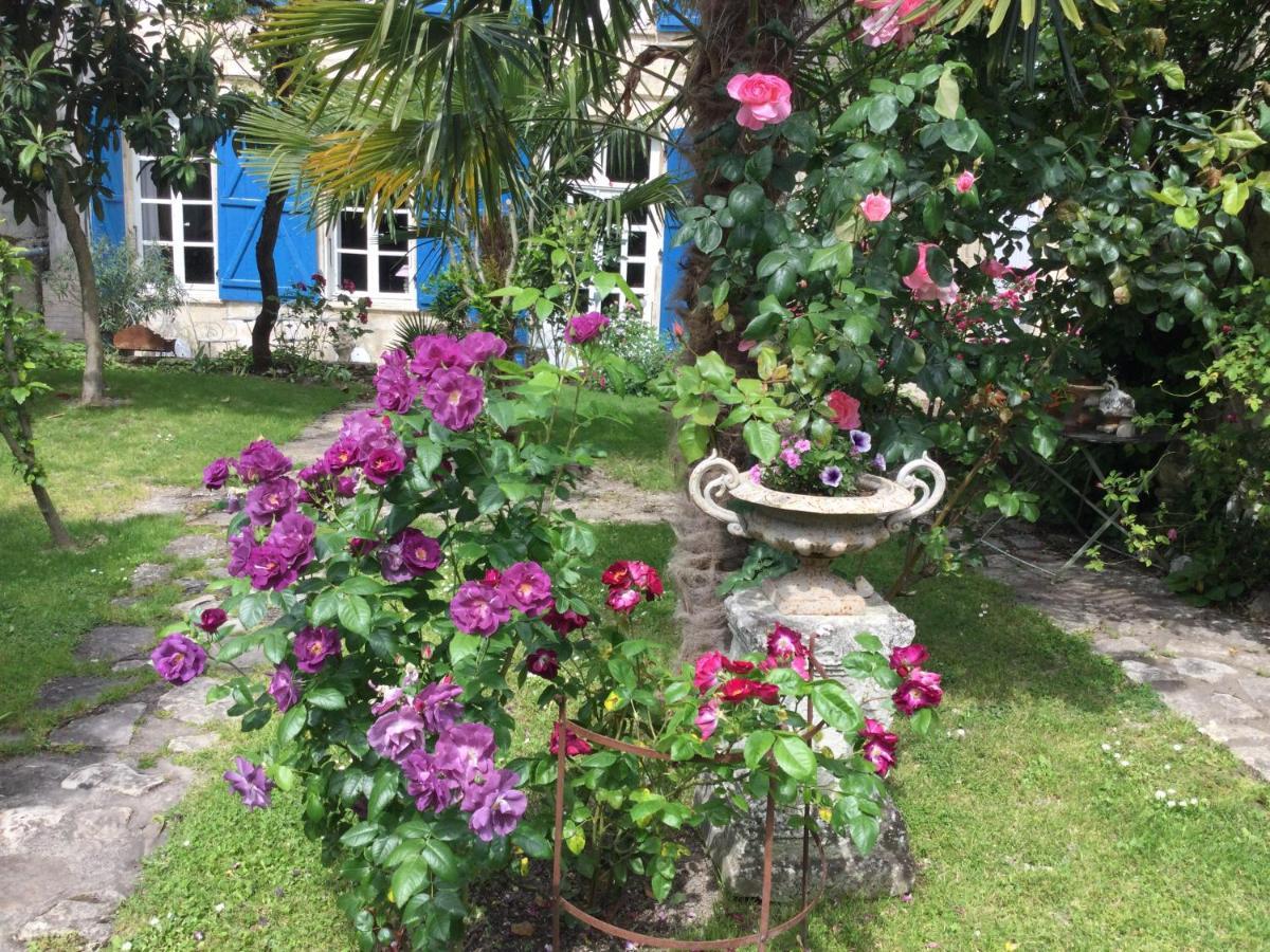 Bed and Breakfast L'Orangerie Du General à Saint-Jean-dʼAngély Extérieur photo